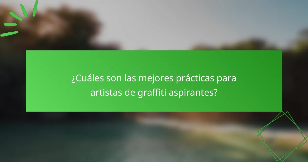 ¿Cuáles son las mejores prácticas para artistas de graffiti aspirantes?
