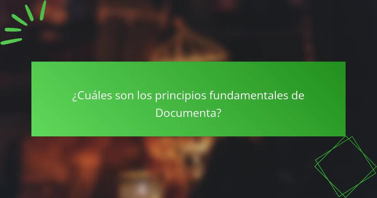 ¿Cuáles son los principios fundamentales de Documenta?